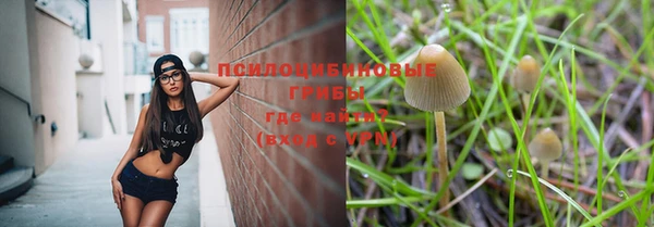 метадон Алзамай