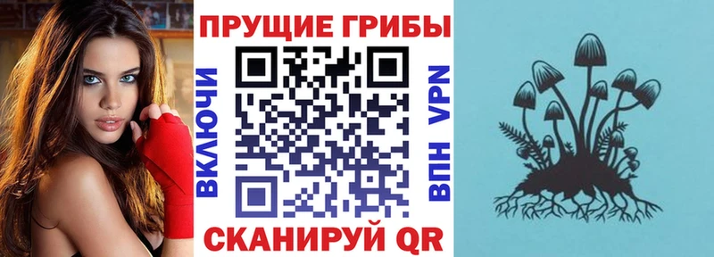 Псилоцибиновые грибы мухоморы  Енисейск 