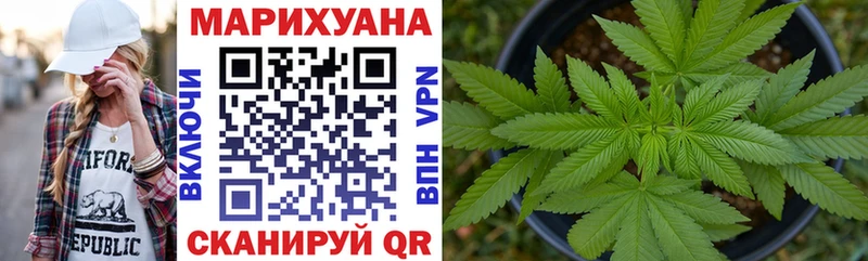 Бошки марихуана план  Енисейск 